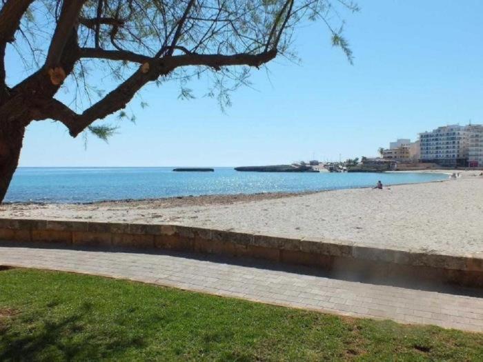 Cas Bufador * S'Illot (Mallorca)