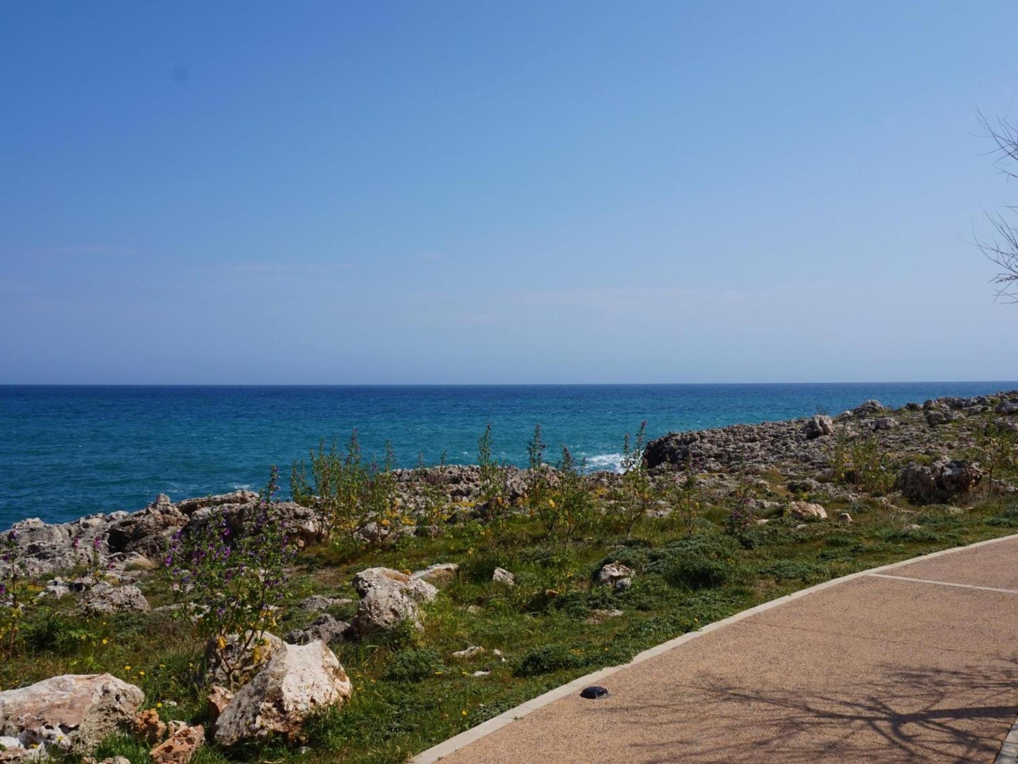 Villa Cas Bufador S'Illot (Mallorca)